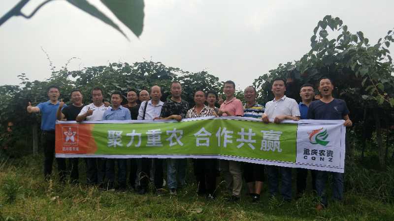 1530084674514188.jpg 图片1.jpg