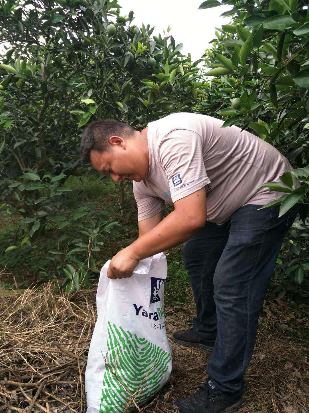 1530085480428496.jpg 图片7.jpg