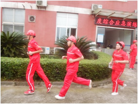 1559029126402927.jpg 1559028755(1).jpg