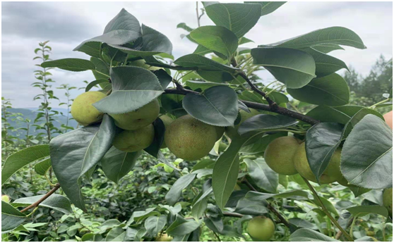 ������ʱ - �������ǲ�!-z6com