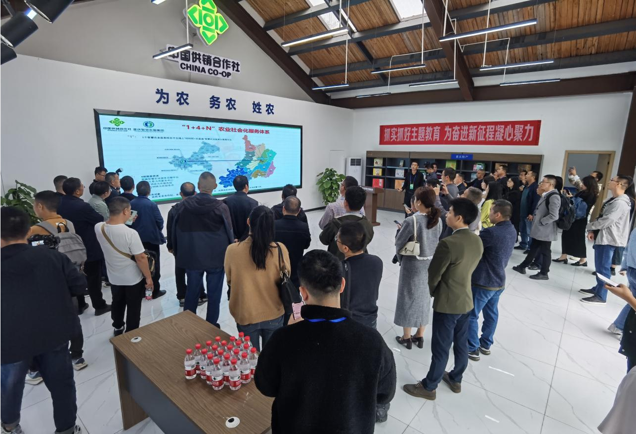 ������ʱ - �������ǲ�!-z6com