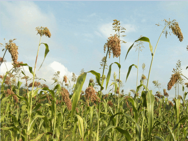 ������ʱ - �������ǲ�!-z6com